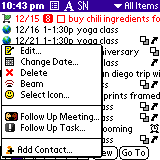 DateMan for Palm OS